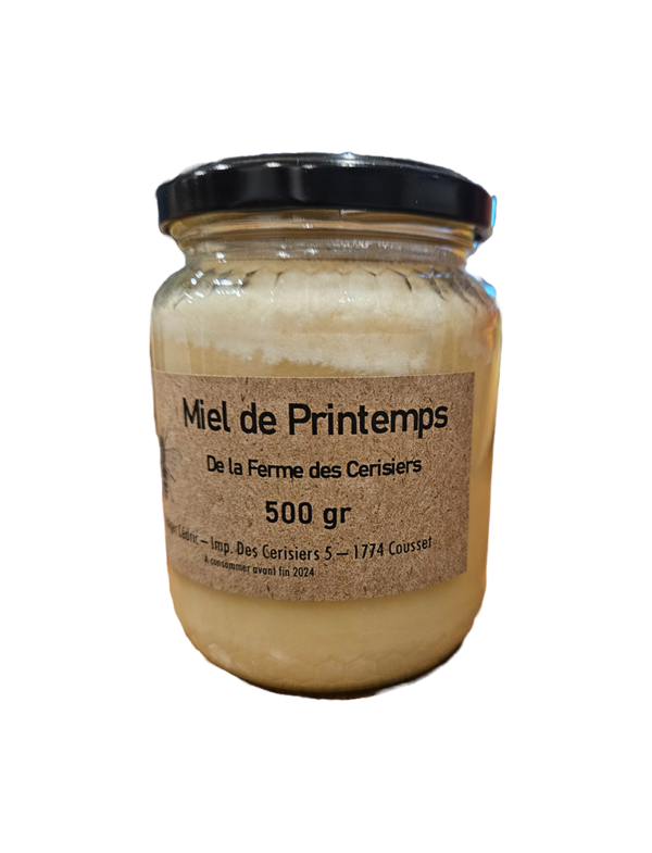 Miel de printemps 500g (Blanc)